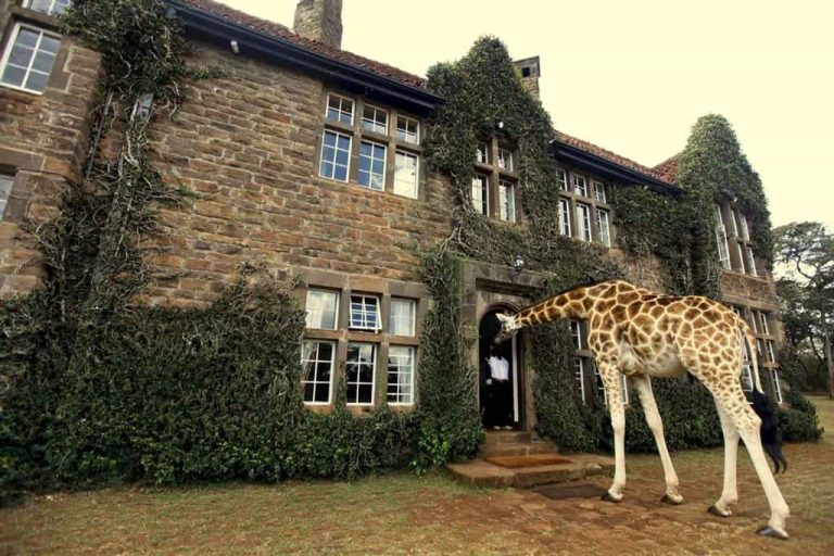 Giraffe Manor: el tesoro de Nairobi que fomenta el turismo